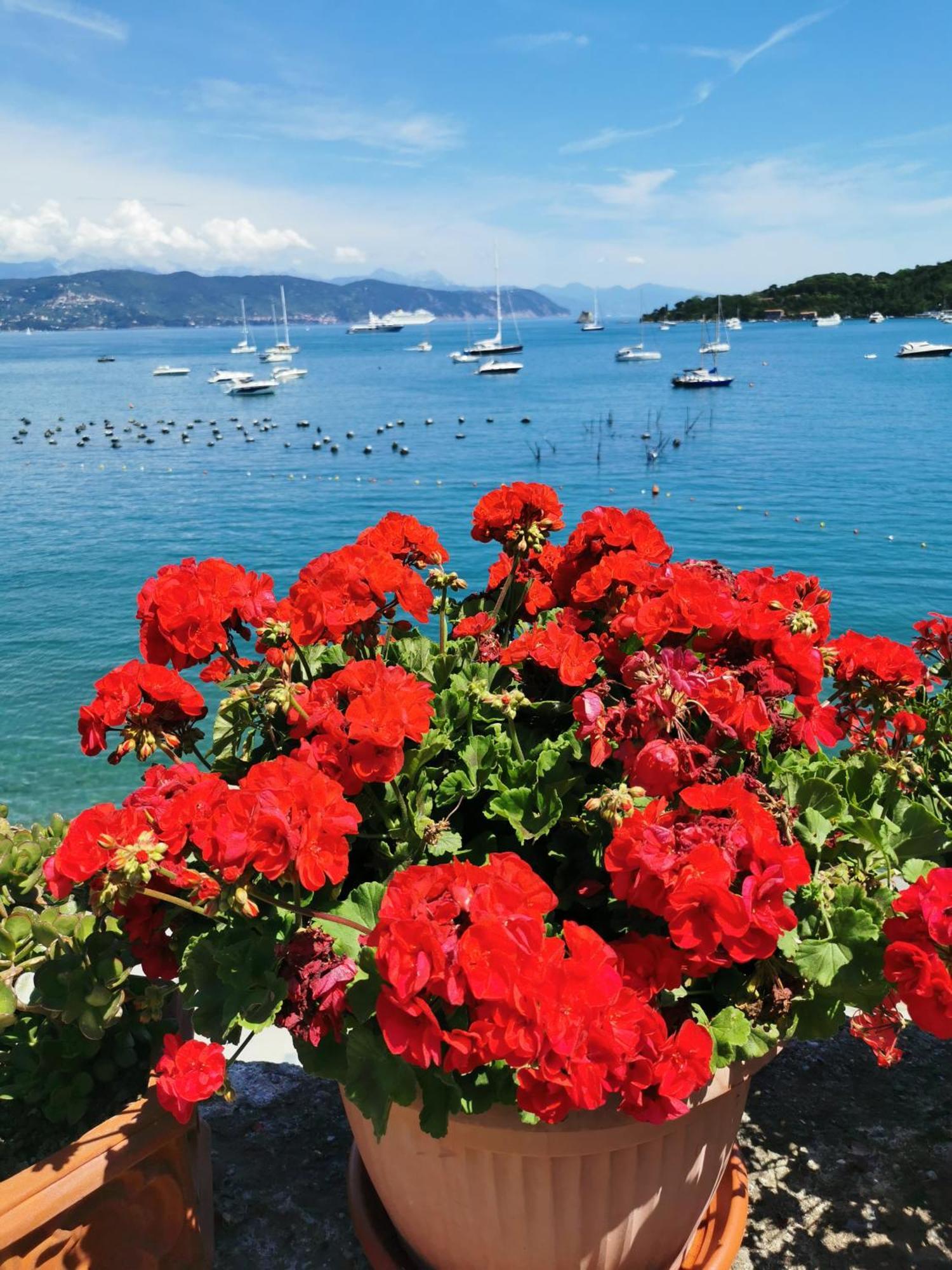 B&B La Palafitta Porto Venere Luaran gambar